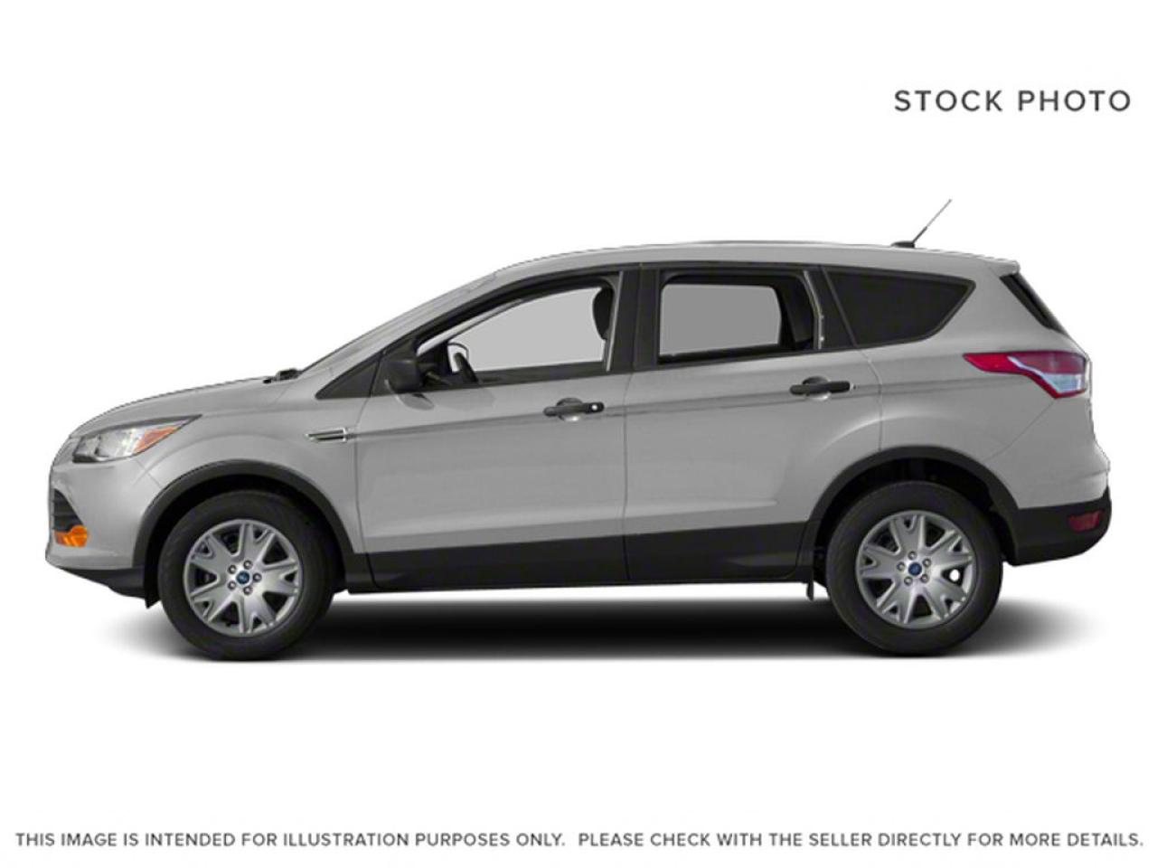 2013 Ford Escape SE Photo