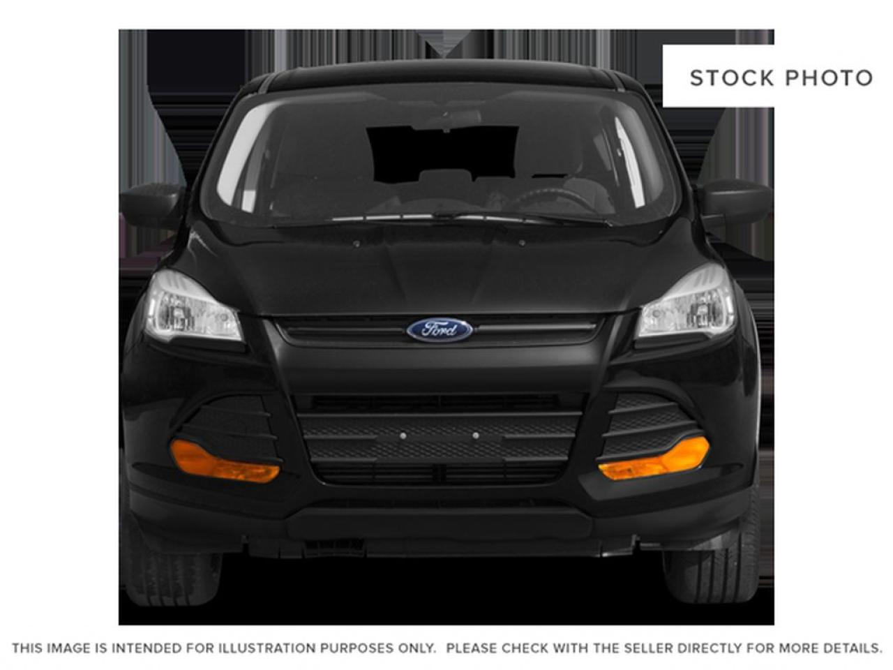 2013 Ford Escape SE Photo4