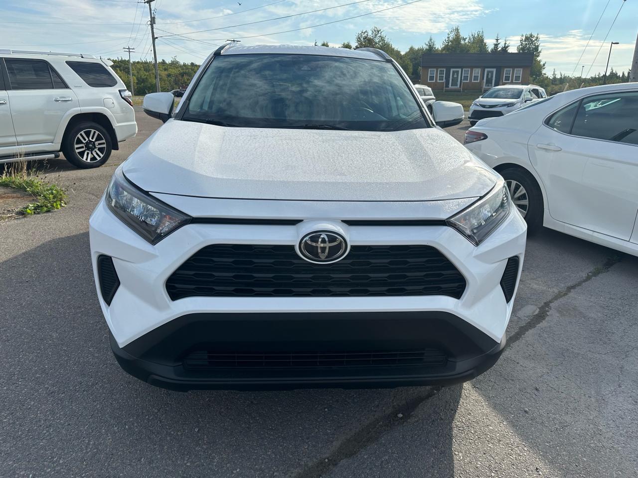 2020 Toyota RAV4 LE Photo1