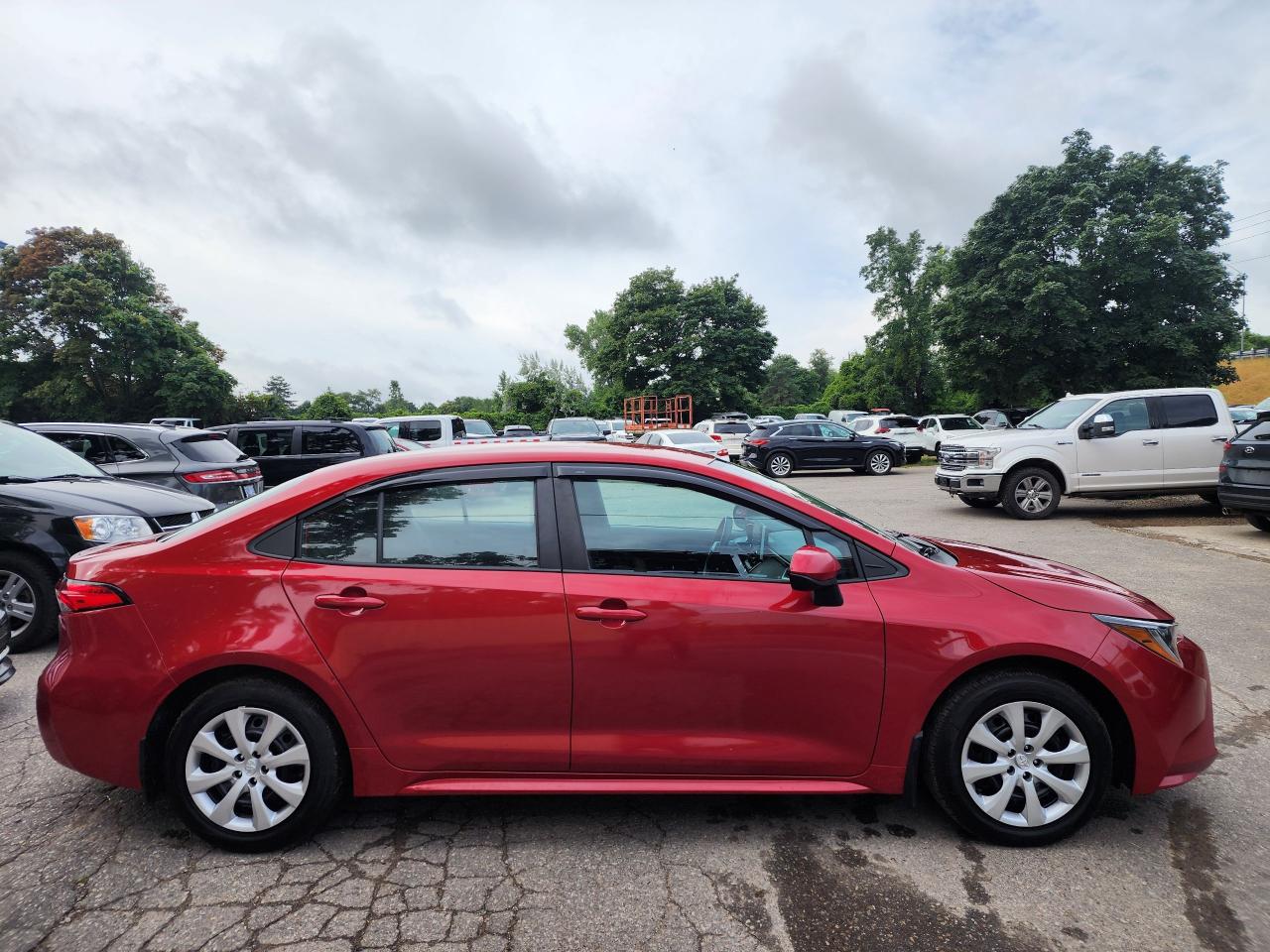 2021 Toyota Corolla LE l Clean Carfax l No Accidents l Fuel Efficent l Photo3