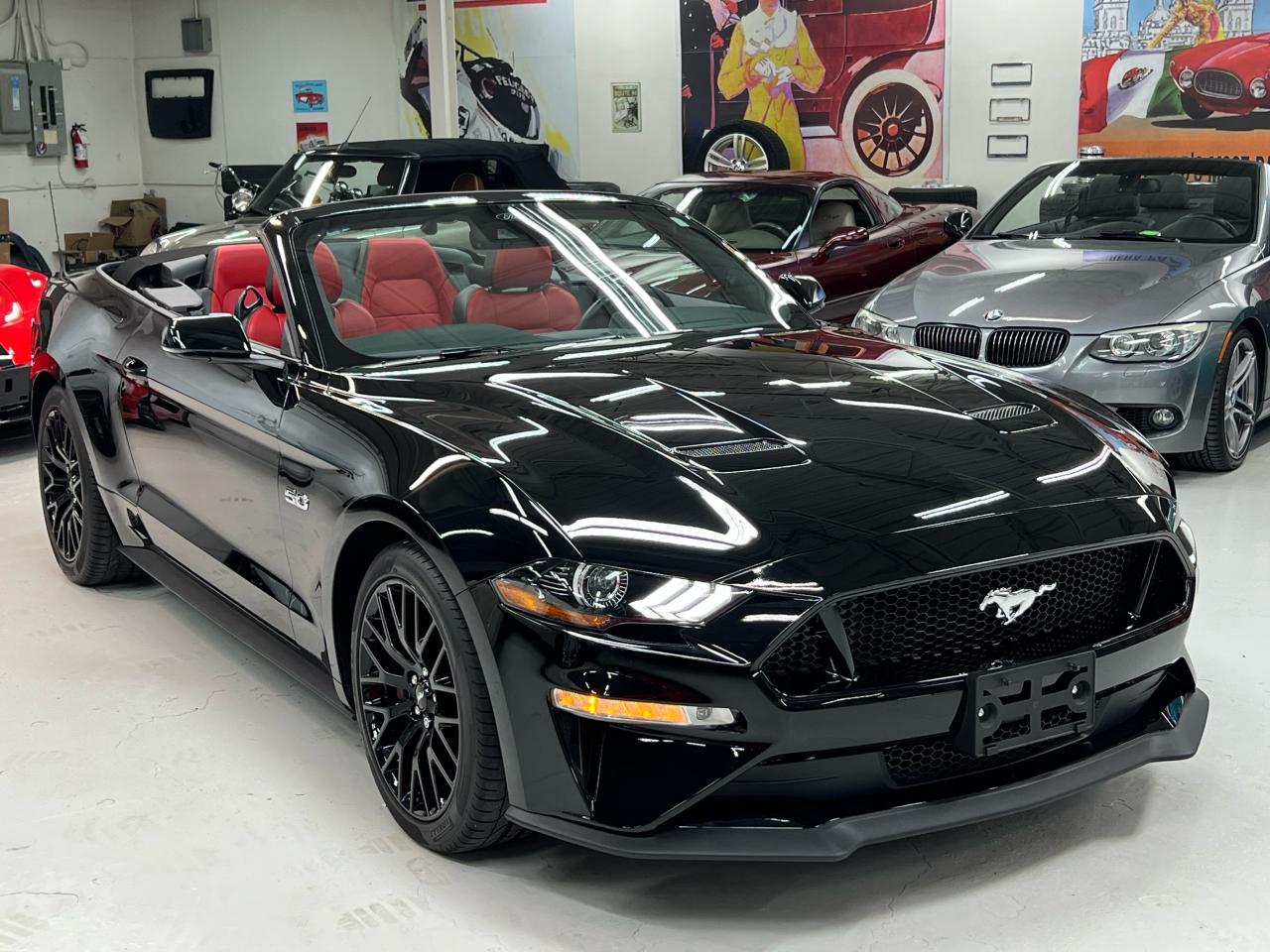 Used 2021 Ford Mustang GT Premium w Performance Pkg, Nav for sale in Paris, ON