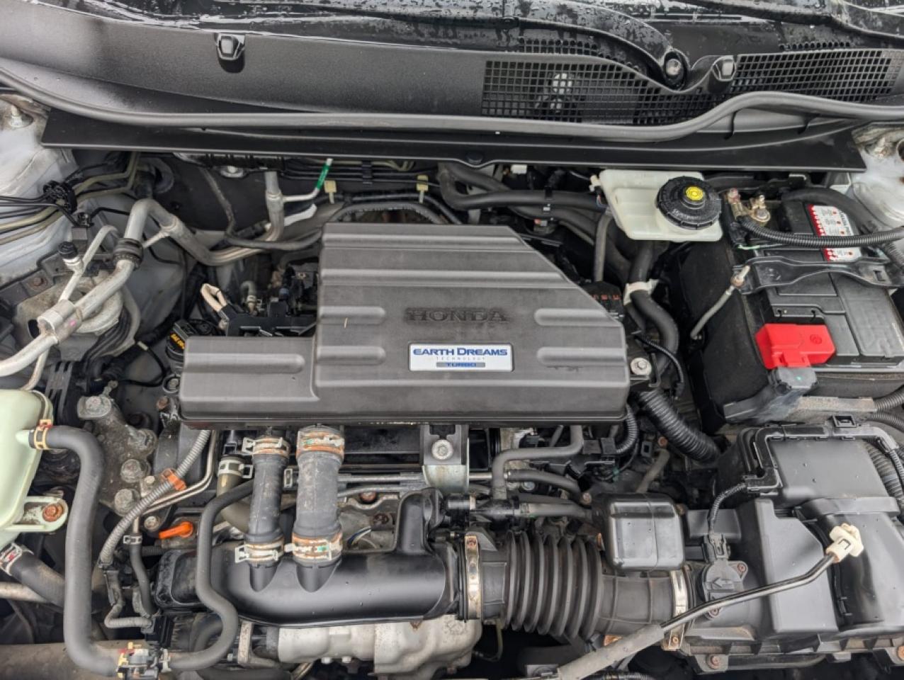 2017 Honda CR-V LX - Photo #24