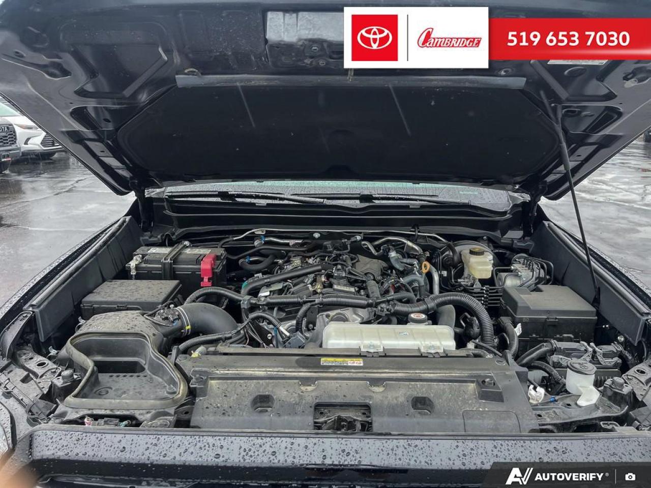 2024 Toyota Tacoma  Photo