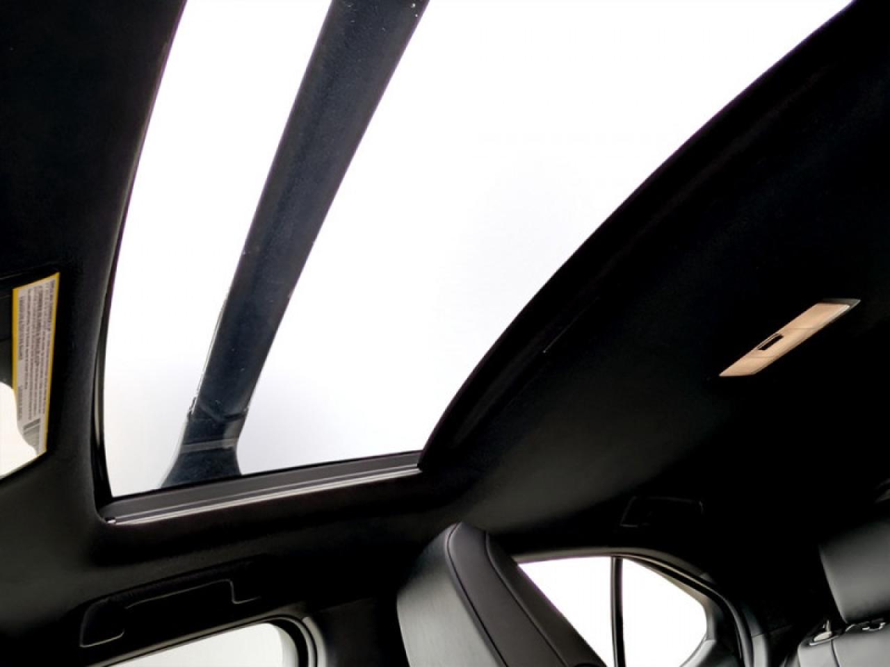 2020 Lexus UX 250h Premium  **LOW KMS - VERY CLEAN - HYBRID** Photo