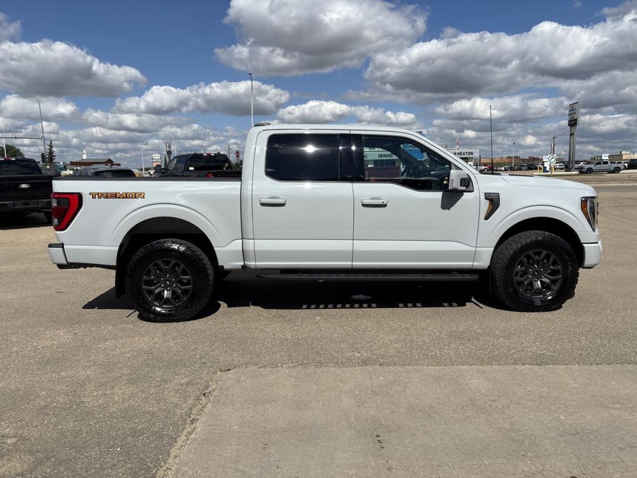 2023 Ford F-150 Tremor Photo5