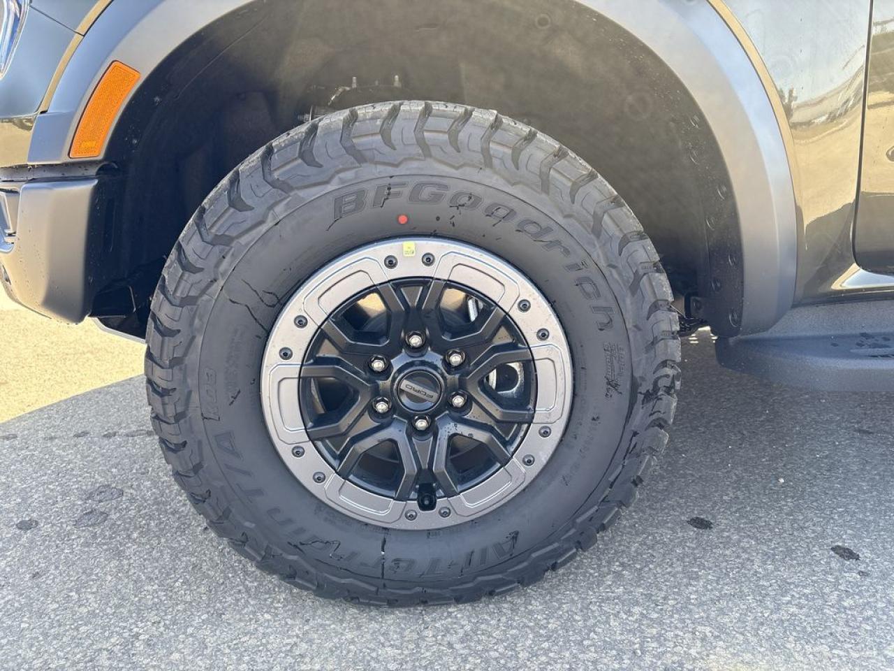 2025 Ford Ranger RAPTOR 800A Photo