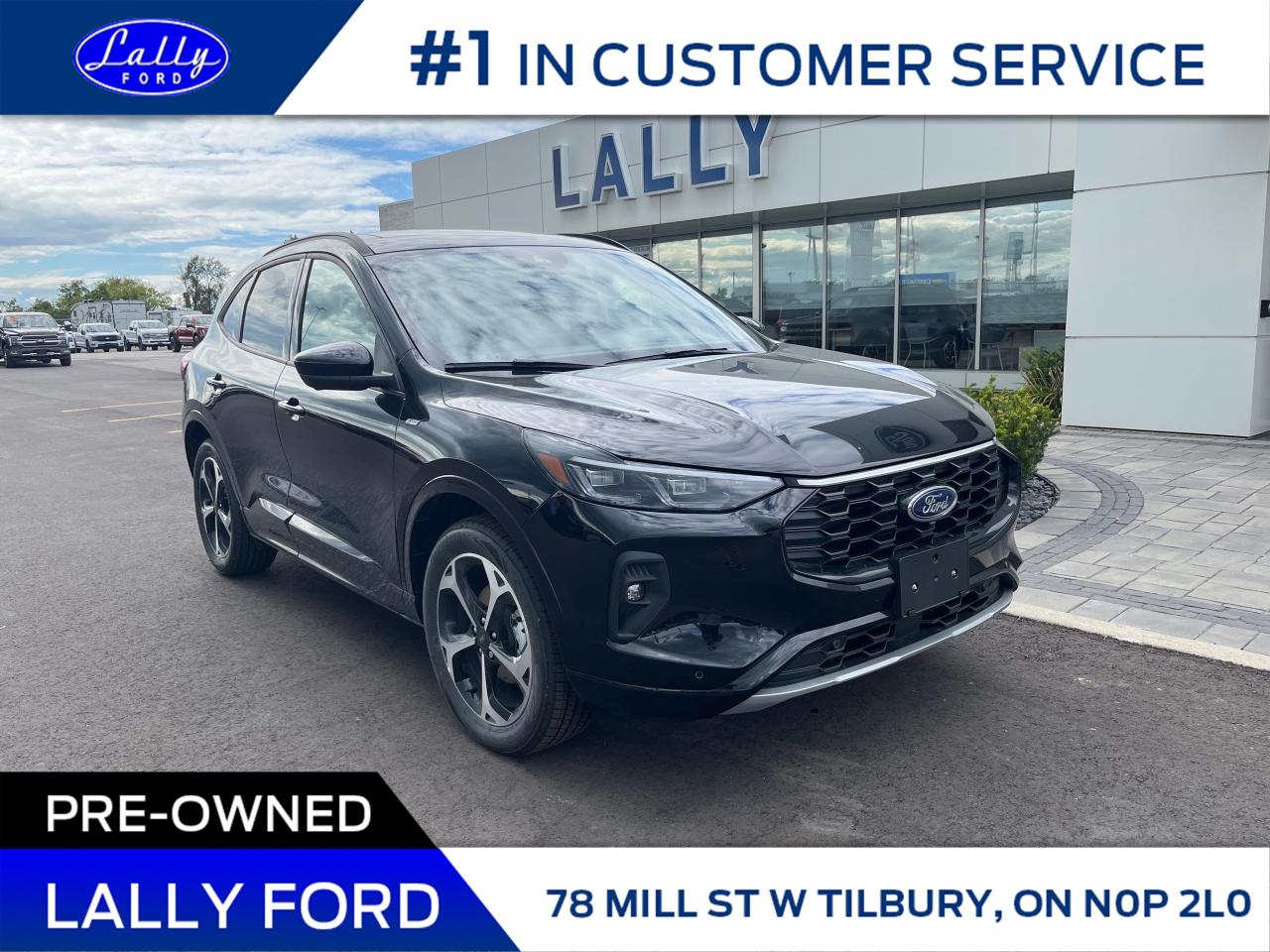 Used 2025 Ford Escape ST-Line Elite for sale in Tilbury, ON