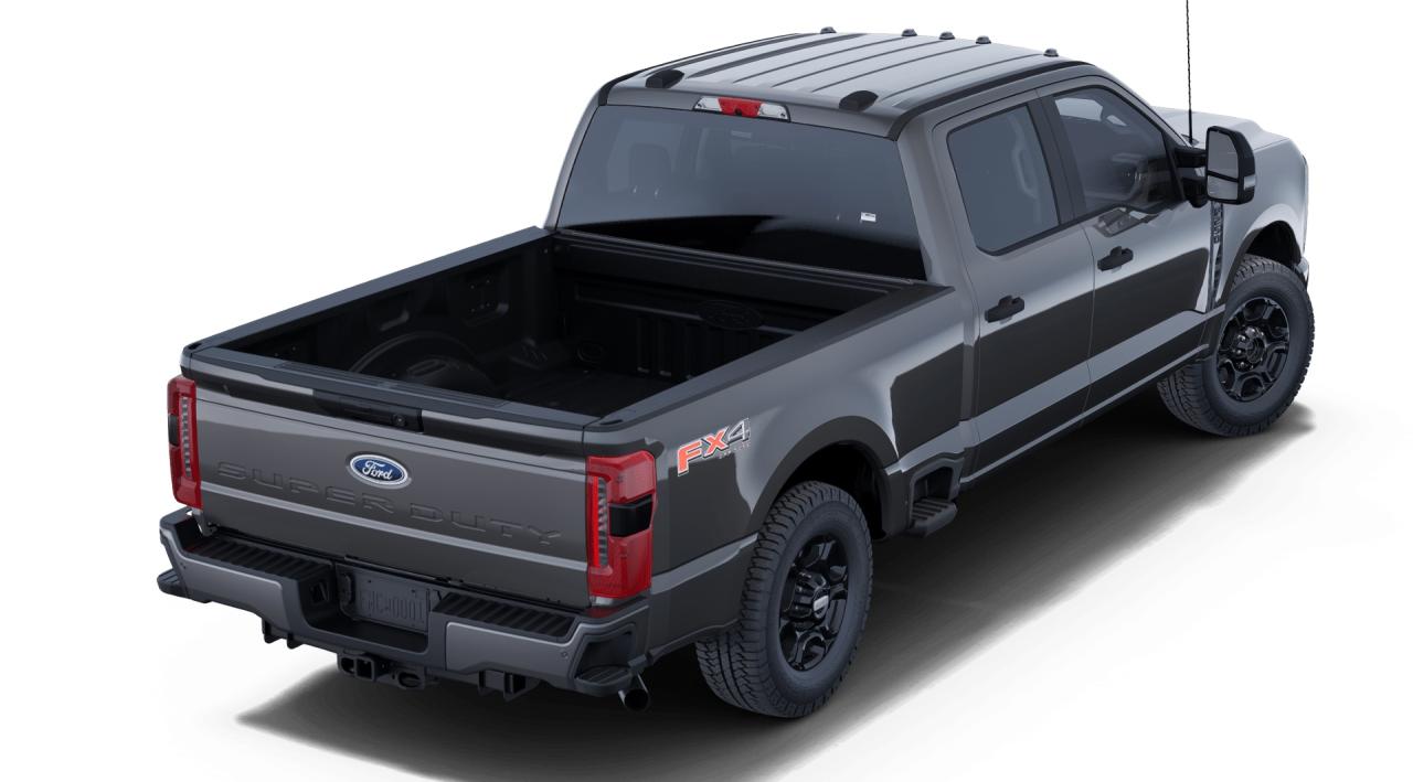 2025 Ford F-250  Photo