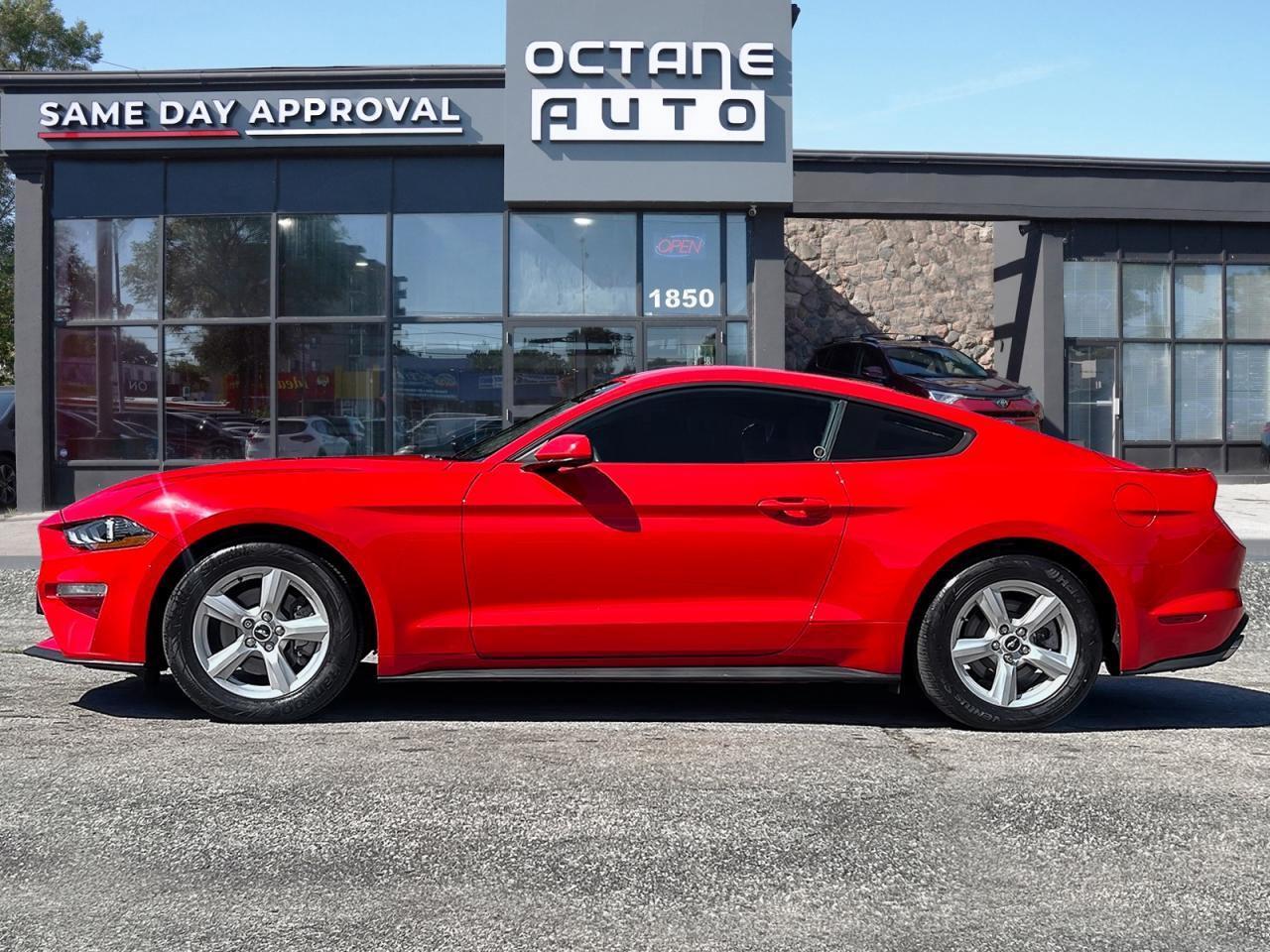 2018 Ford Mustang EcoBoost Fastback Photo