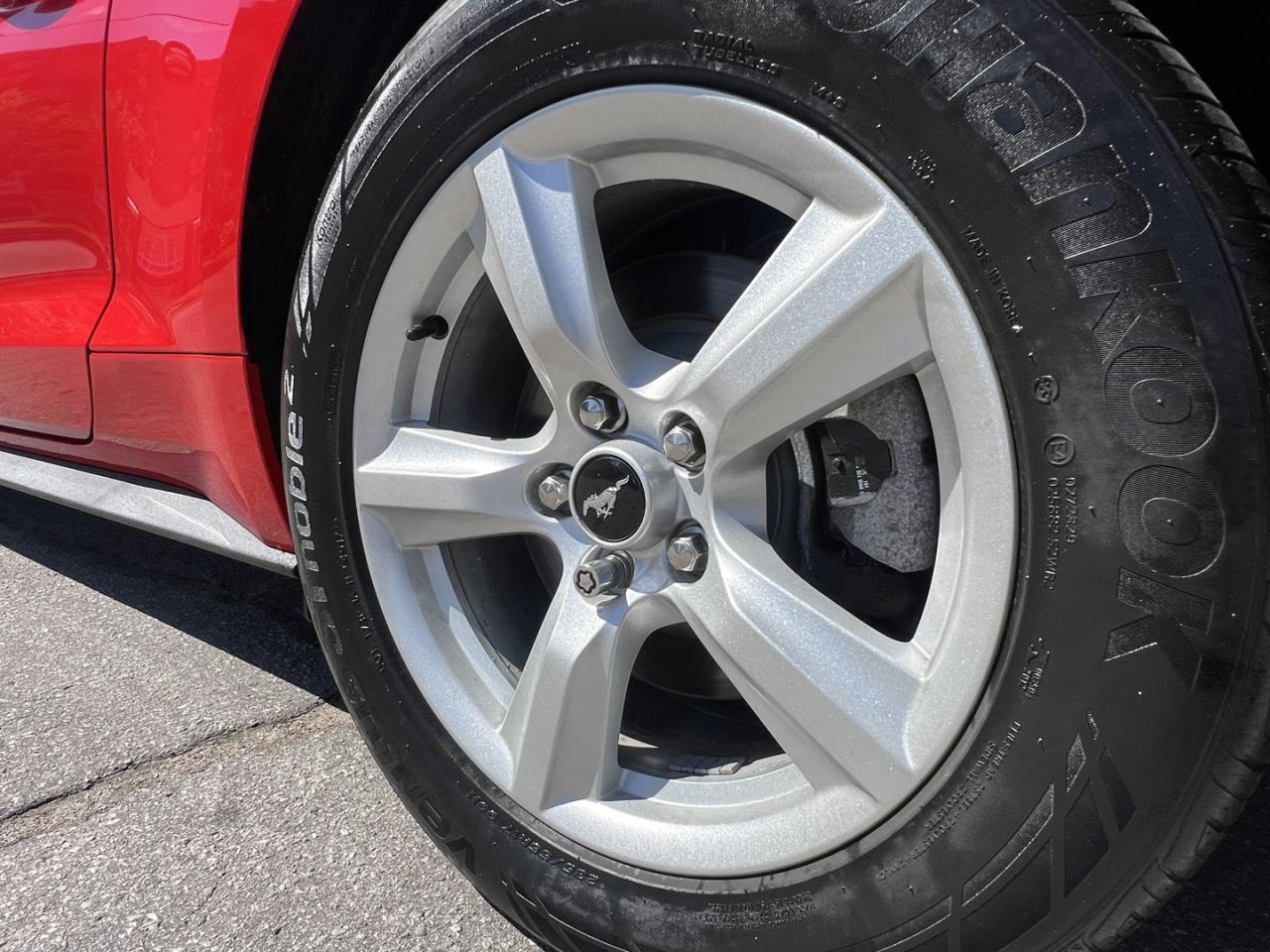 2018 Ford Mustang EcoBoost Fastback Photo