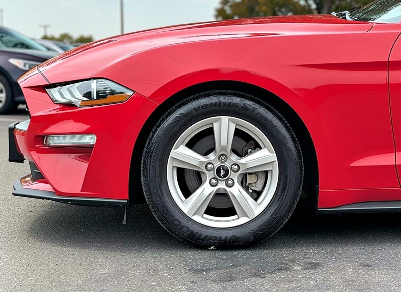 2018 Ford Mustang EcoBoost Fastback Photo