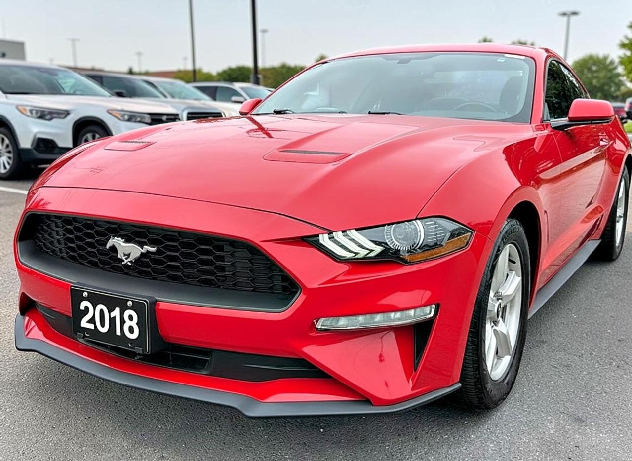 2018 Ford Mustang EcoBoost Fastback Photo