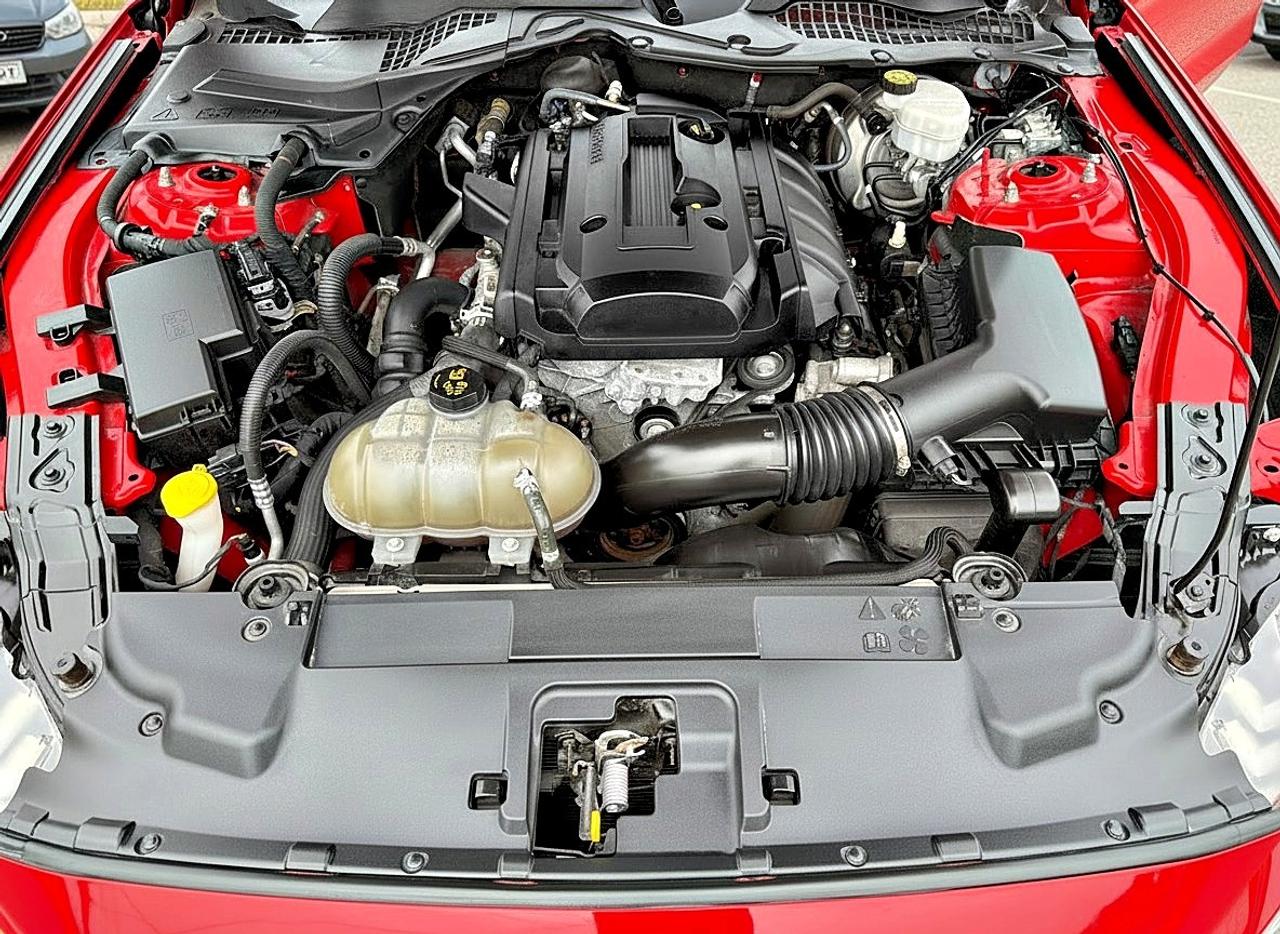 2018 Ford Mustang EcoBoost Fastback Photo