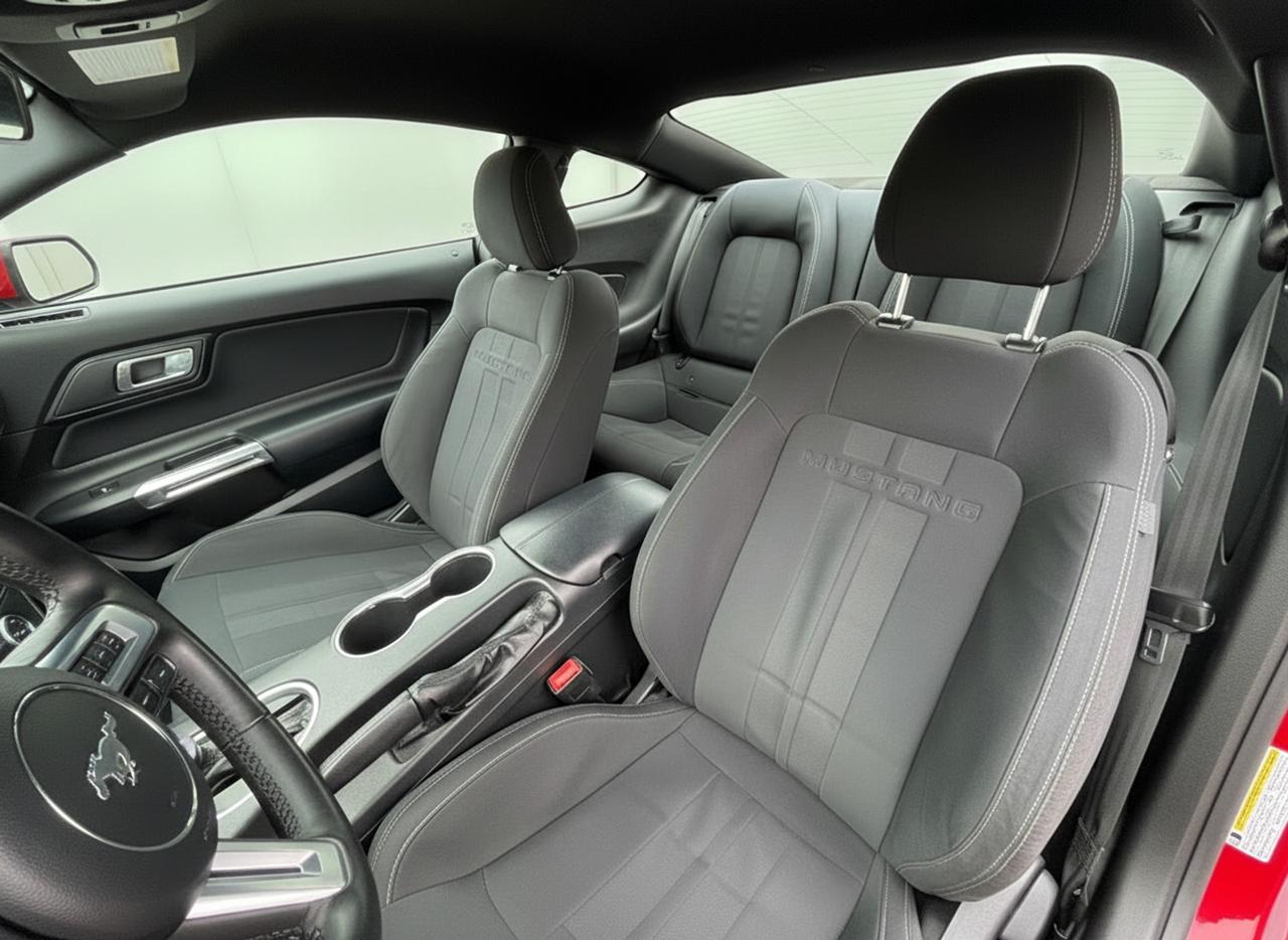 2018 Ford Mustang EcoBoost Fastback Photo