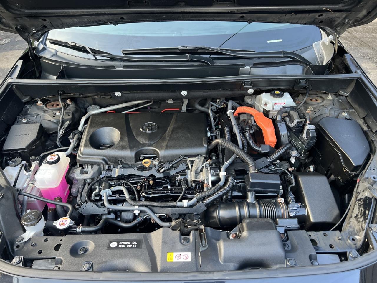 2019 Toyota RAV4 Hybrid LE AWD - Photo #5