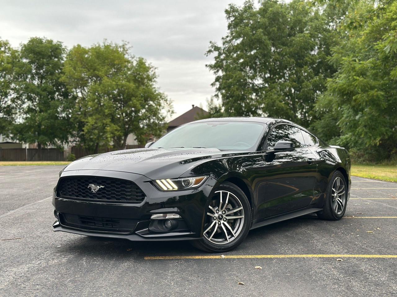 Used 2017 Ford Mustang EcoBoost Premium for sale in Cornwall, ON