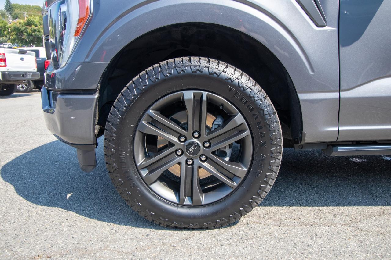 2021 Ford F-150 Lariat Photo5
