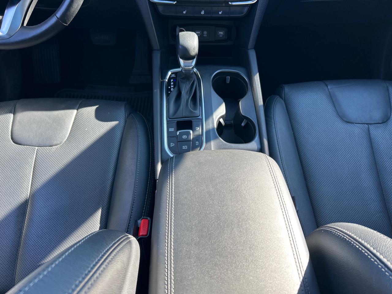 2020 Hyundai Santa Fe Preferred 2.4 w/Sun & Leather Package Preferred AWD 2.4L Sun and Leather Photo