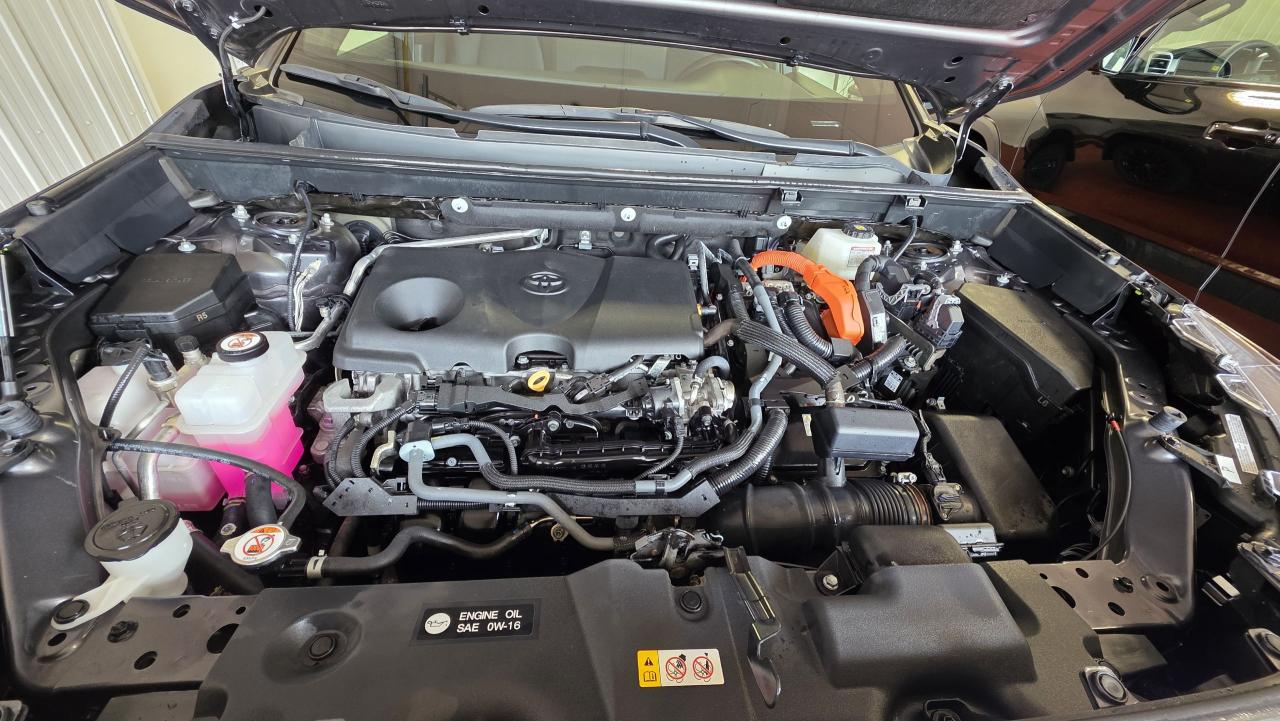 2023 Toyota RAV4 Hybrid XSE Photo0