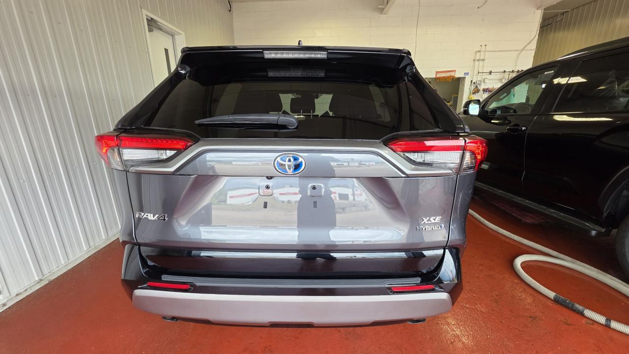 2023 Toyota RAV4 Hybrid XSE Photo0