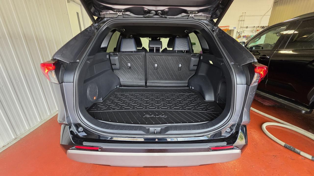 2023 Toyota RAV4 Hybrid XSE Photo0