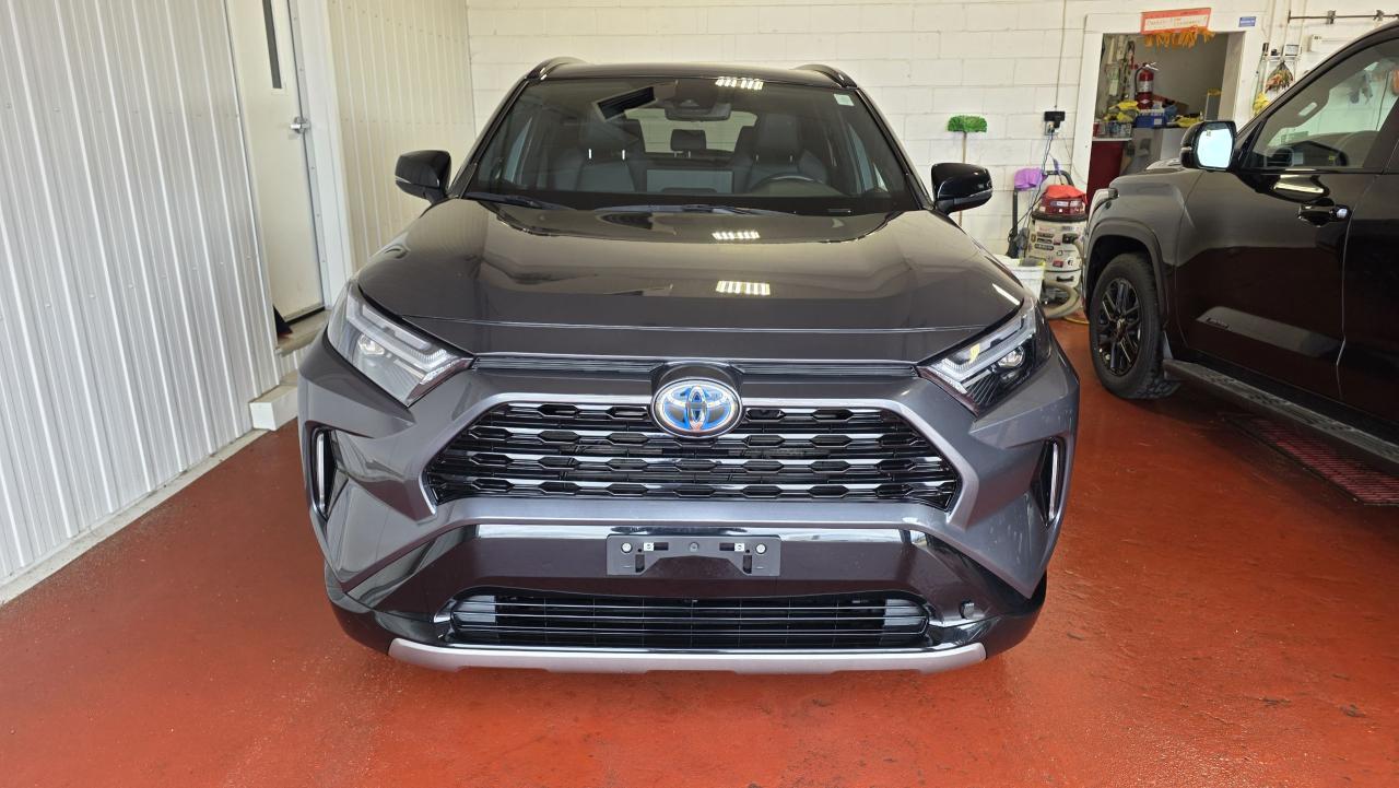2023 Toyota RAV4 Hybrid XSE Photo0