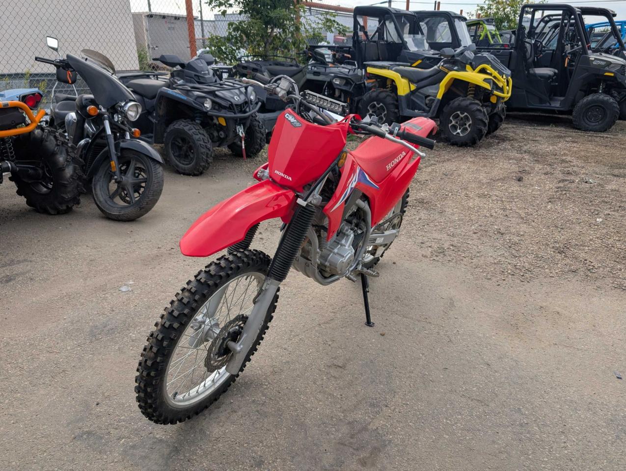 2024 Honda CRF250F  - Photo #5