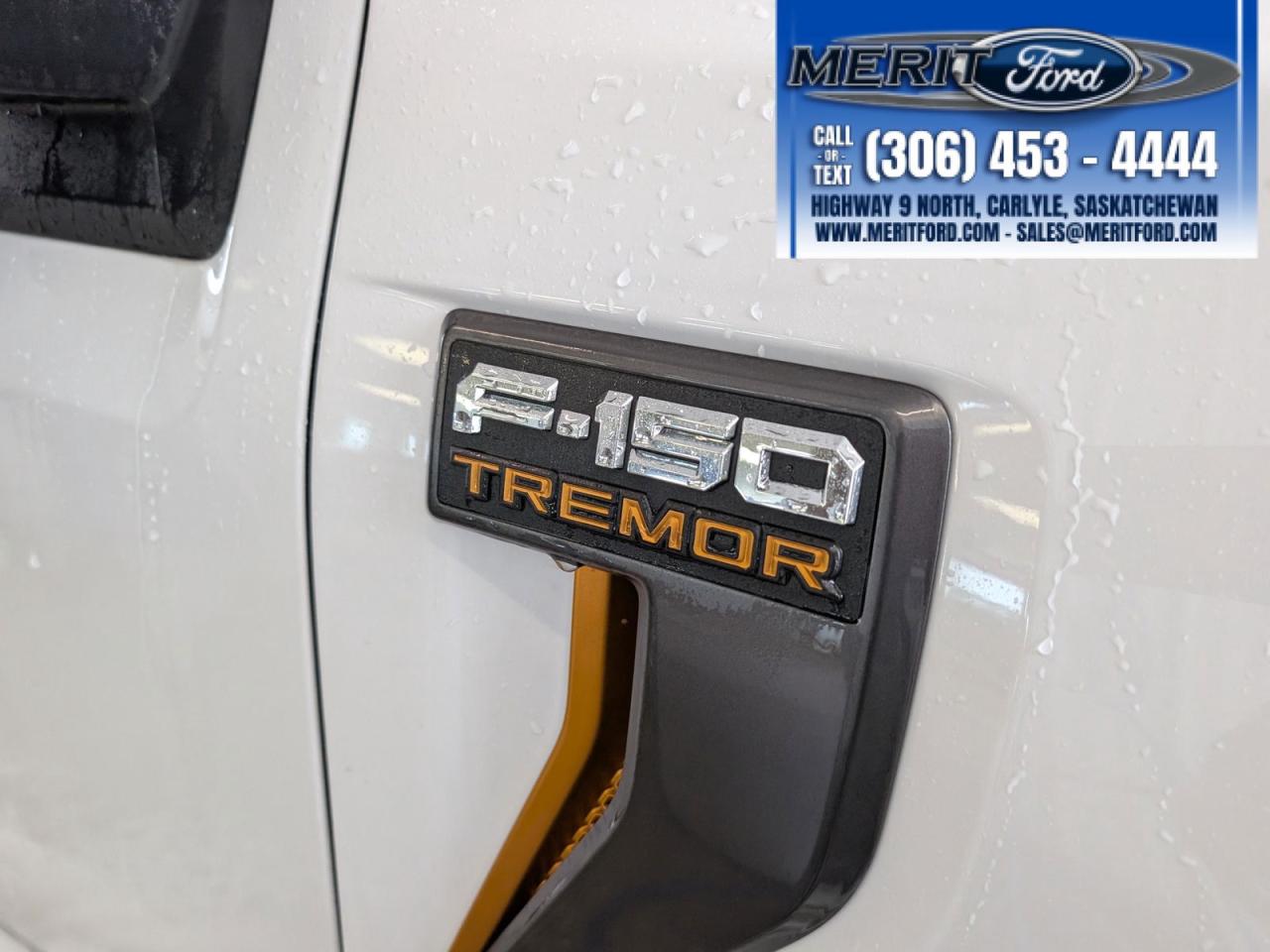 2025 Ford F-150 Tremor Photo5