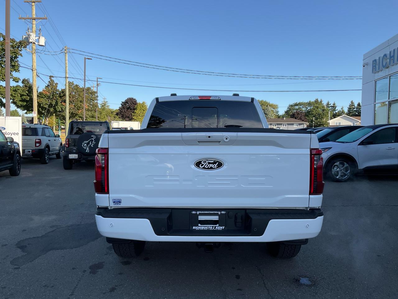 2025 Ford F-150 XLT Photo5