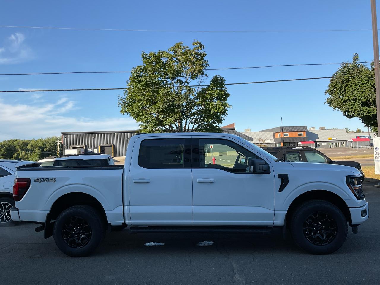 2025 Ford F-150 XLT Photo5