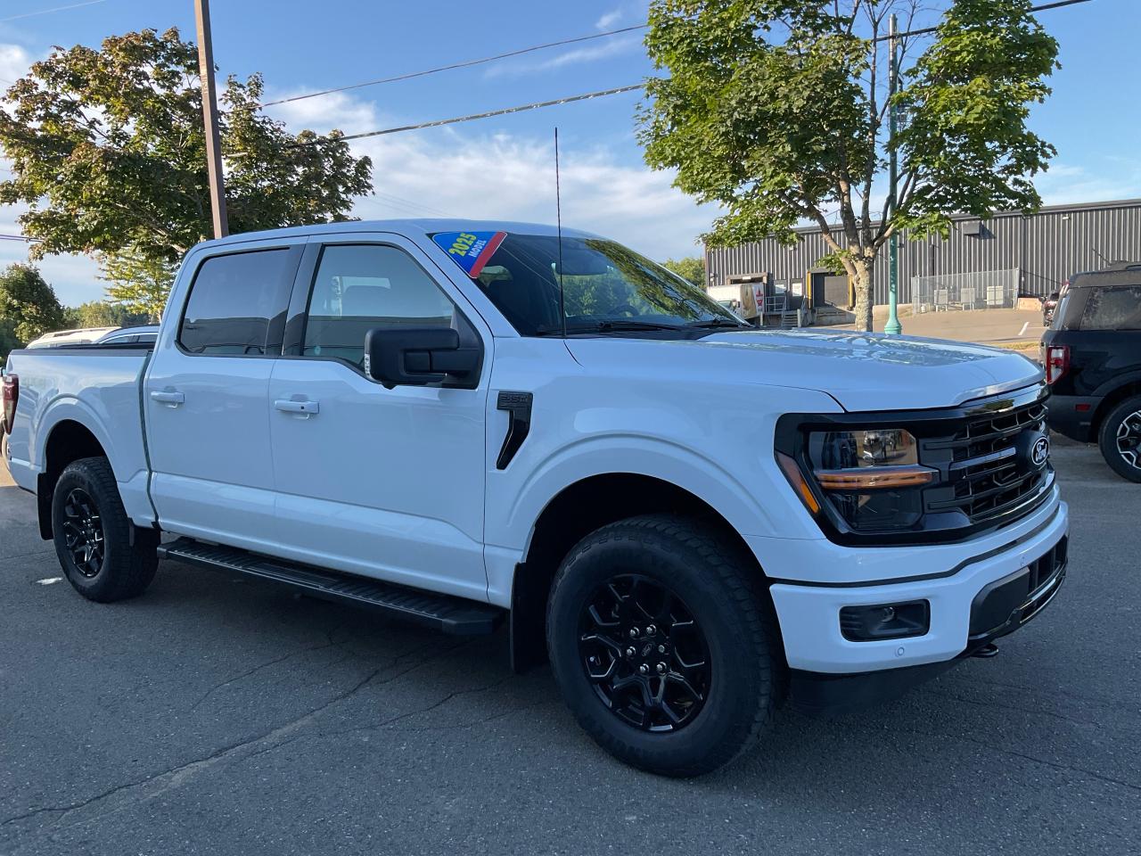 2025 Ford F-150 XLT Photo5