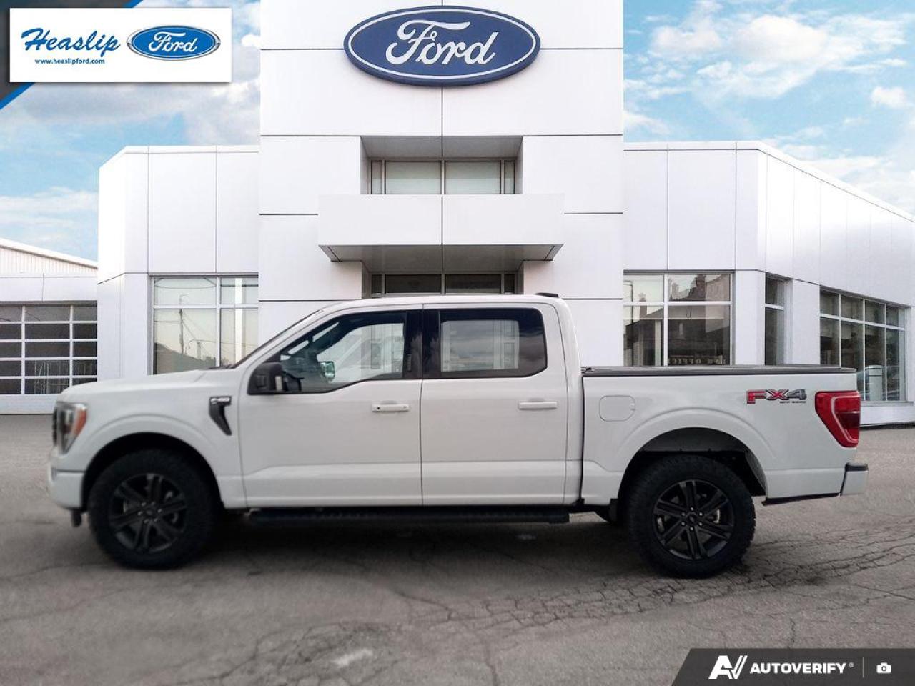 2022 Ford F-150 XLT Photo