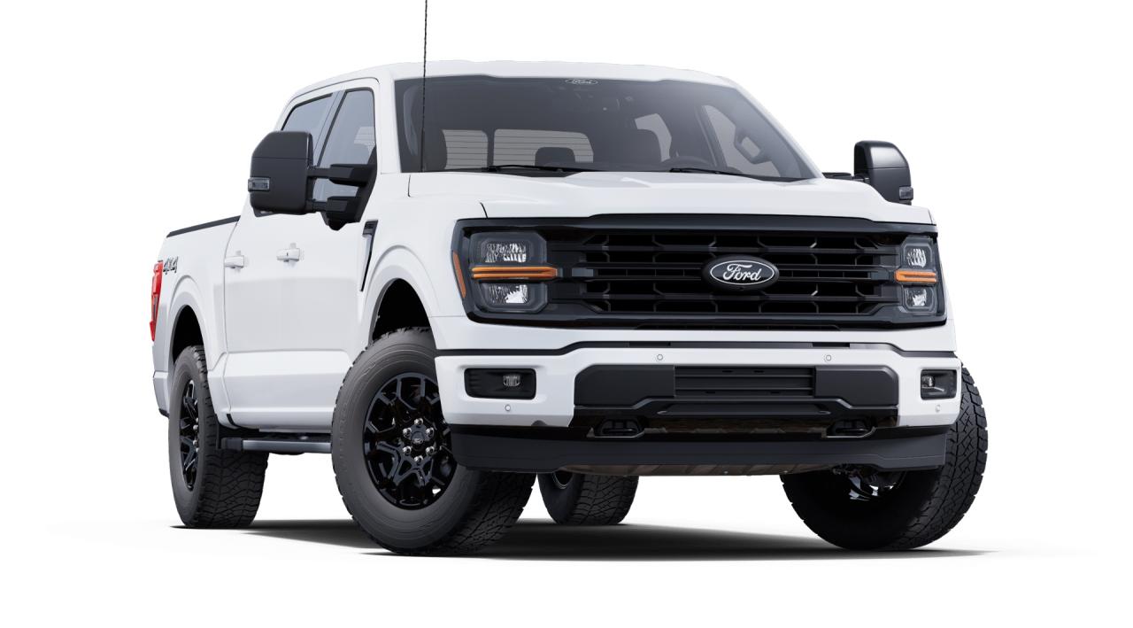 2025 Ford F-150 XLT 4WD SuperCrew 5.5' Box Photo5