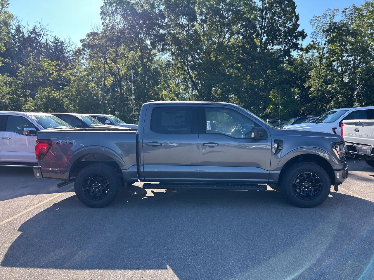 2025 Ford F-150 XLT Photo3
