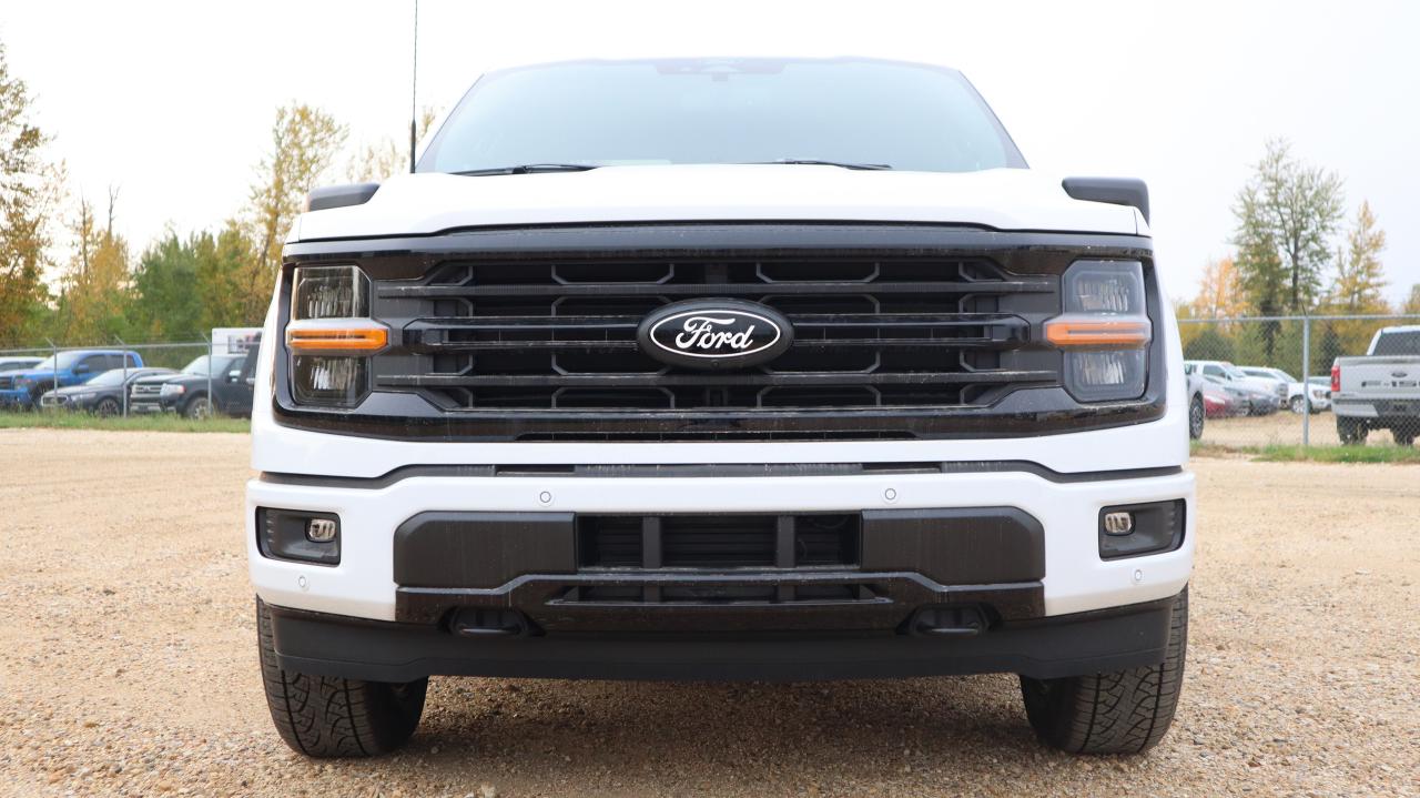 2025 Ford F-150 XLT Photo