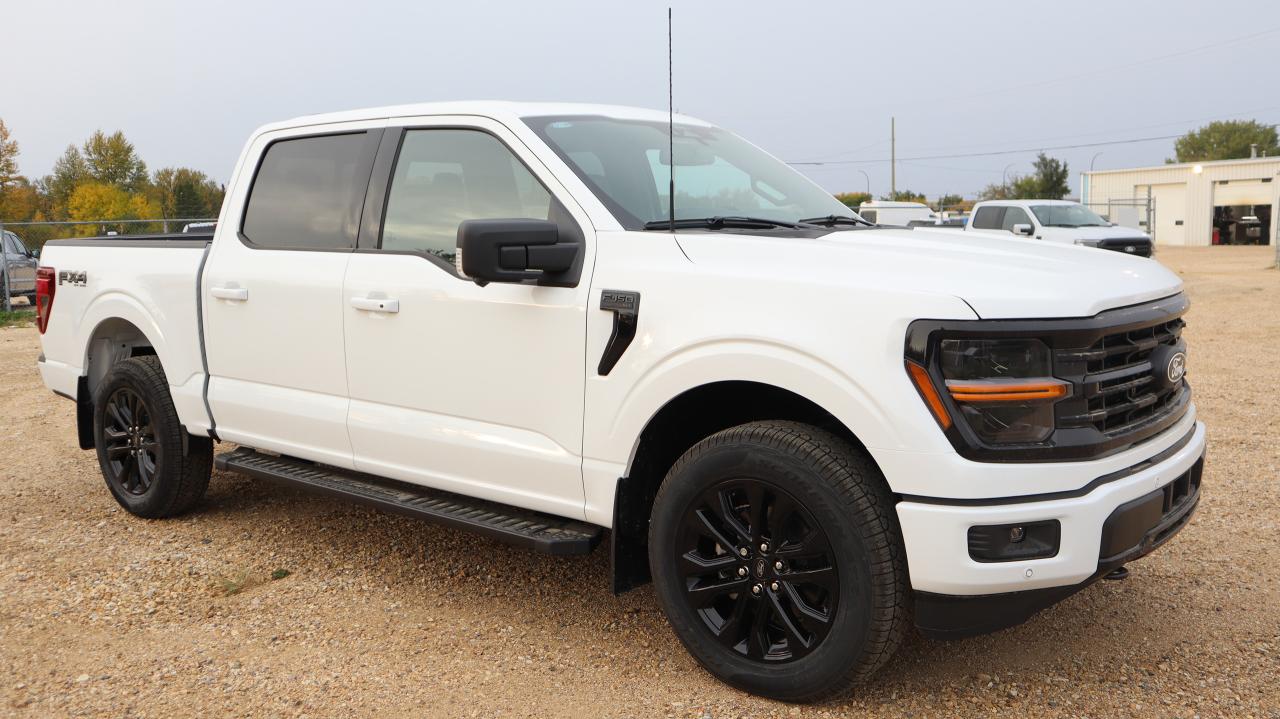 2025 Ford F-150 XLT Photo