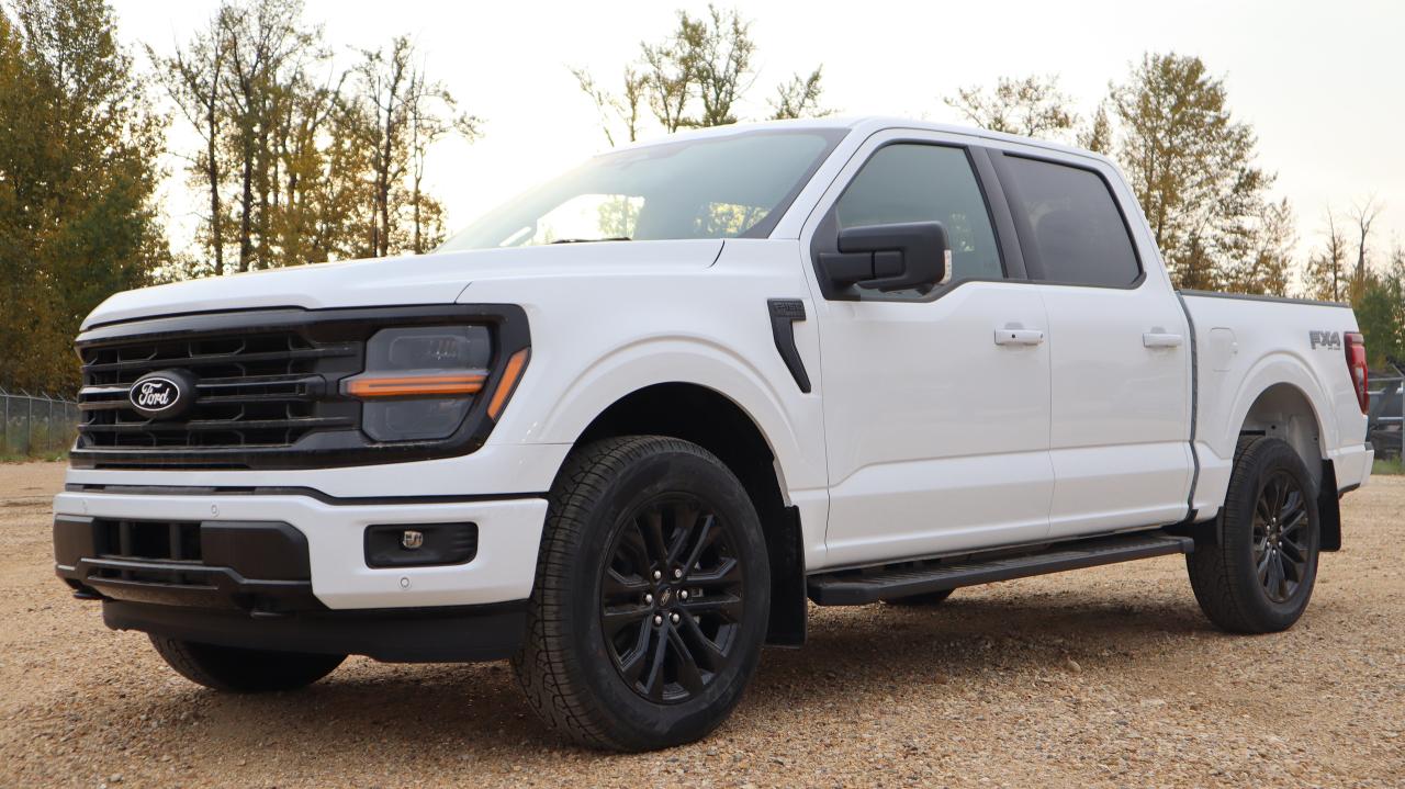 2025 Ford F-150 XLT Photo