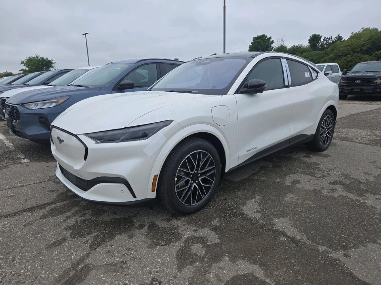 New 2025 Ford Mustang Mach-E Premium for sale in Stratford, ON
