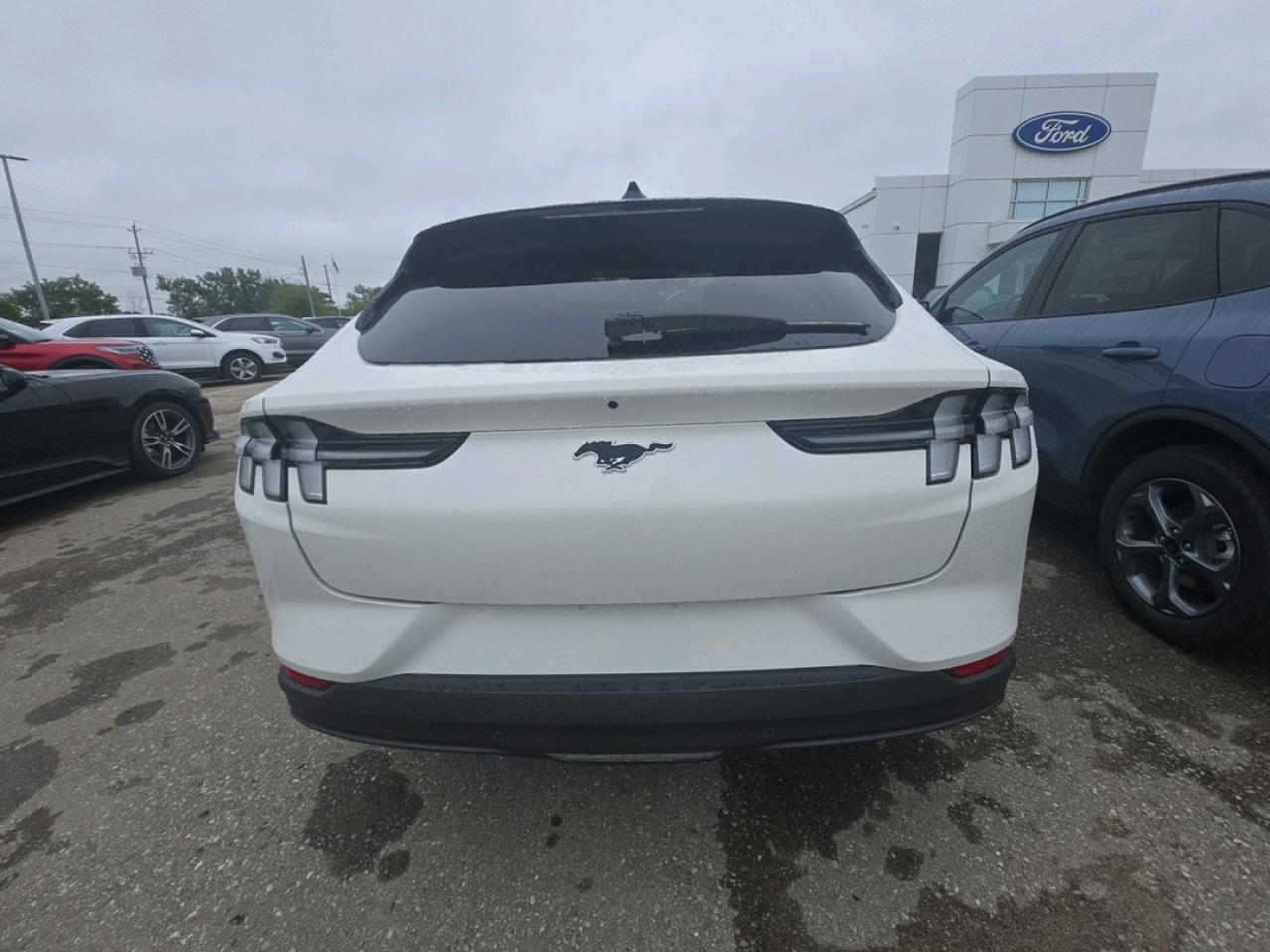 2025 Ford Mustang Mach-E PREMIUM AWD, EXTENDED RANGE, PANORAMIC ROOF Photo