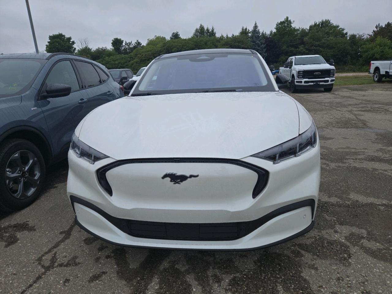 2025 Ford Mustang Mach-E PREMIUM AWD, EXTENDED RANGE, PANORAMIC ROOF Photo
