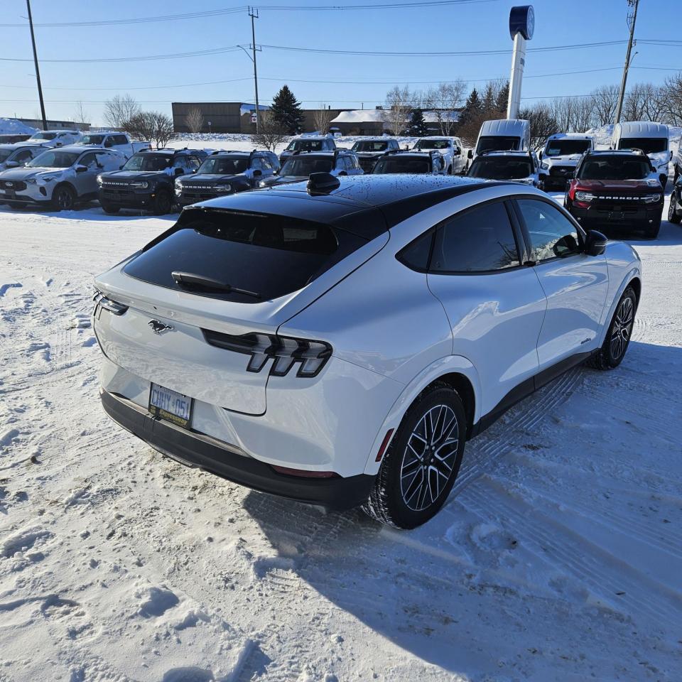 2025 Ford Mustang Mach-E PREMIUM AWD, EXTENDED RANGE, PANORAMIC ROOF Photo4