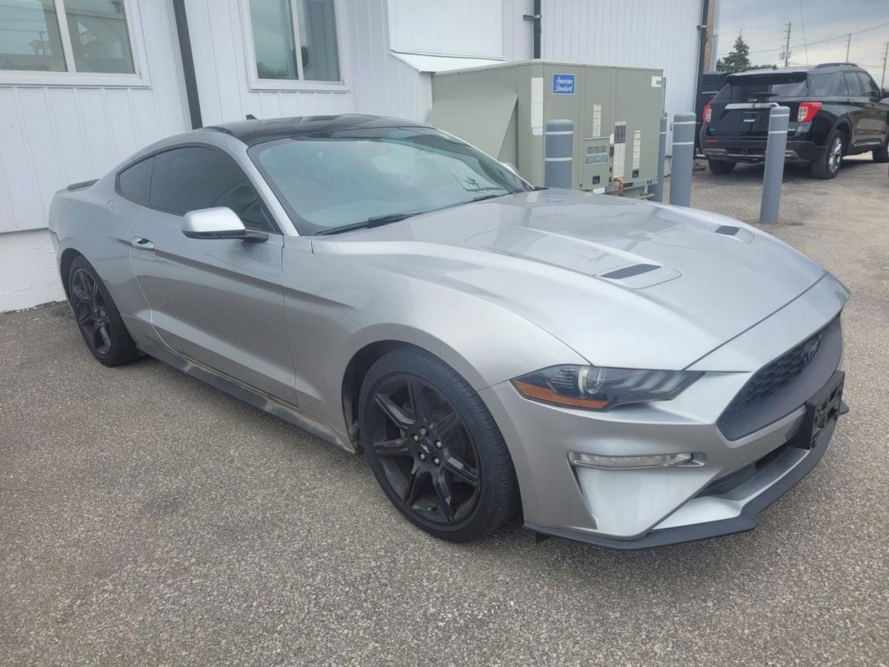 2020 Ford Mustang EcoBoost Premium Photo2