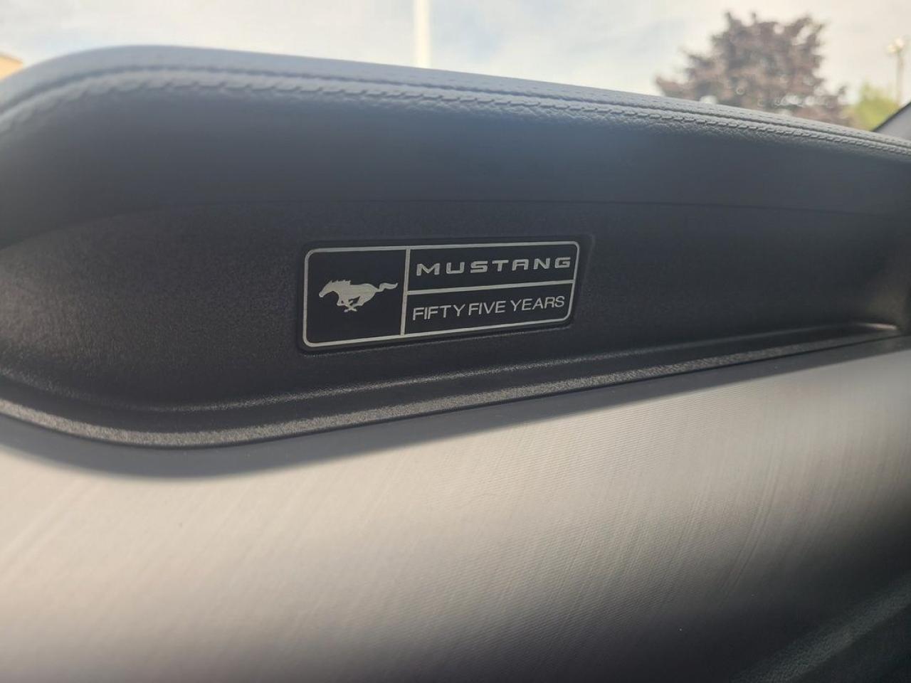 2020 Ford Mustang EcoBoost Premium Photo16