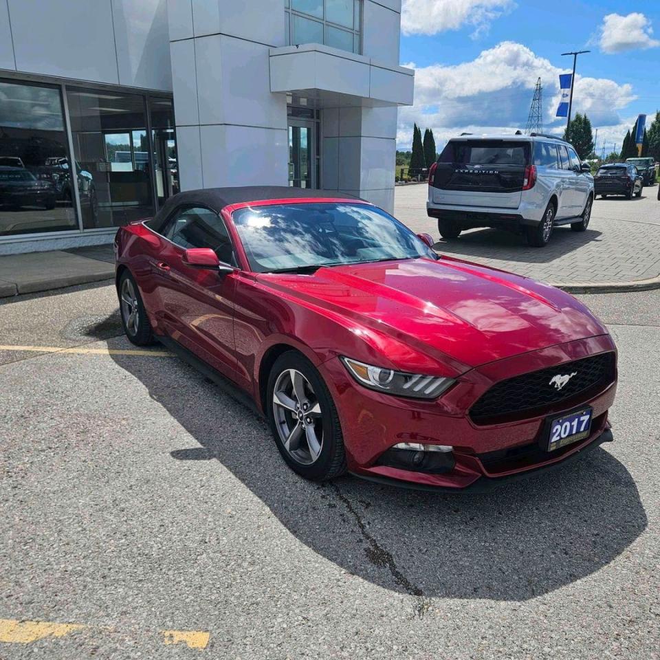 2017 Ford Mustang V6 Photo