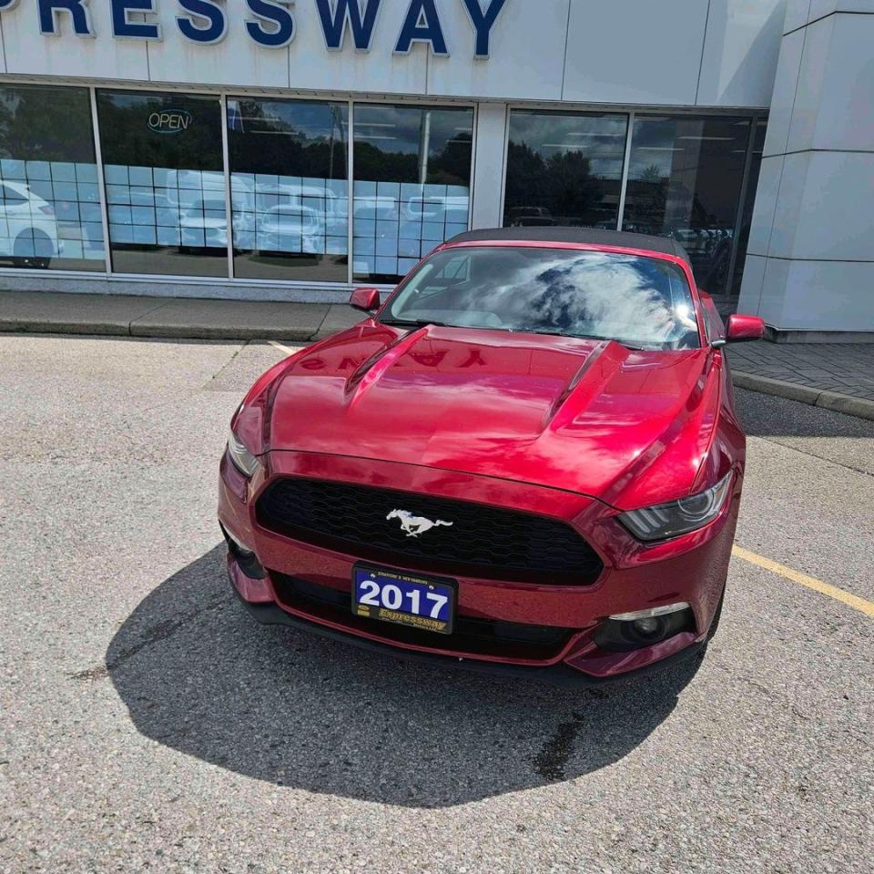 2017 Ford Mustang V6 Photo