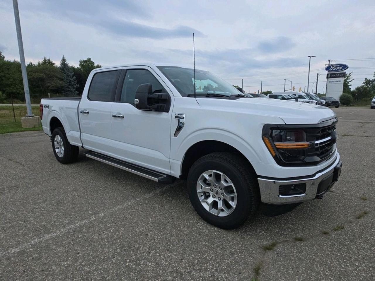 2025 Ford F-150 XLT Photo