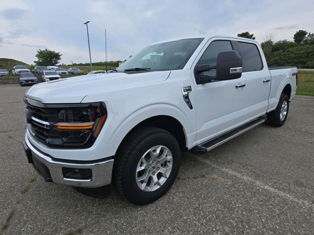 2025 Ford F-150 XLT Photo0