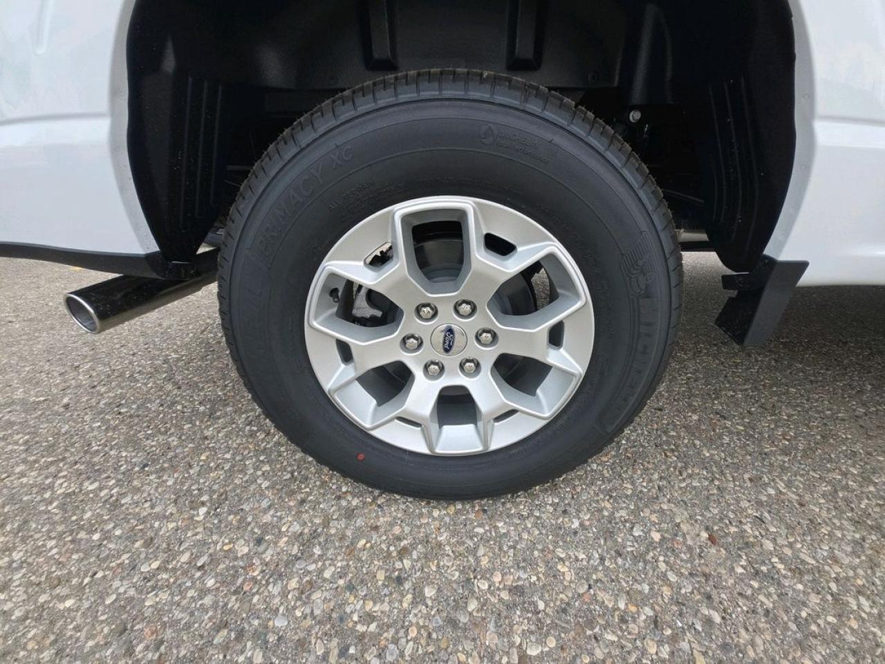 2025 Ford F-150 XLT Photo5
