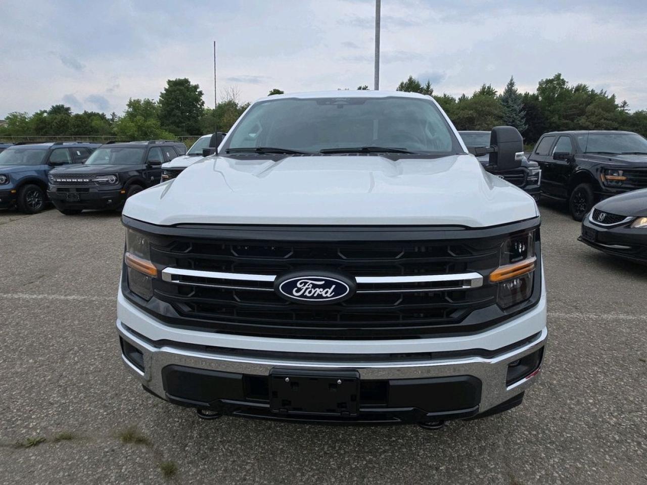 2025 Ford F-150 XLT Photo