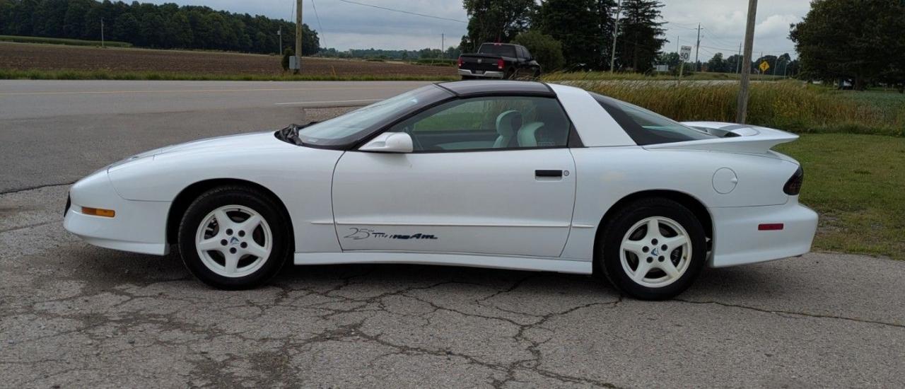 1994 Pontiac Firebird Trans Am - Photo #2